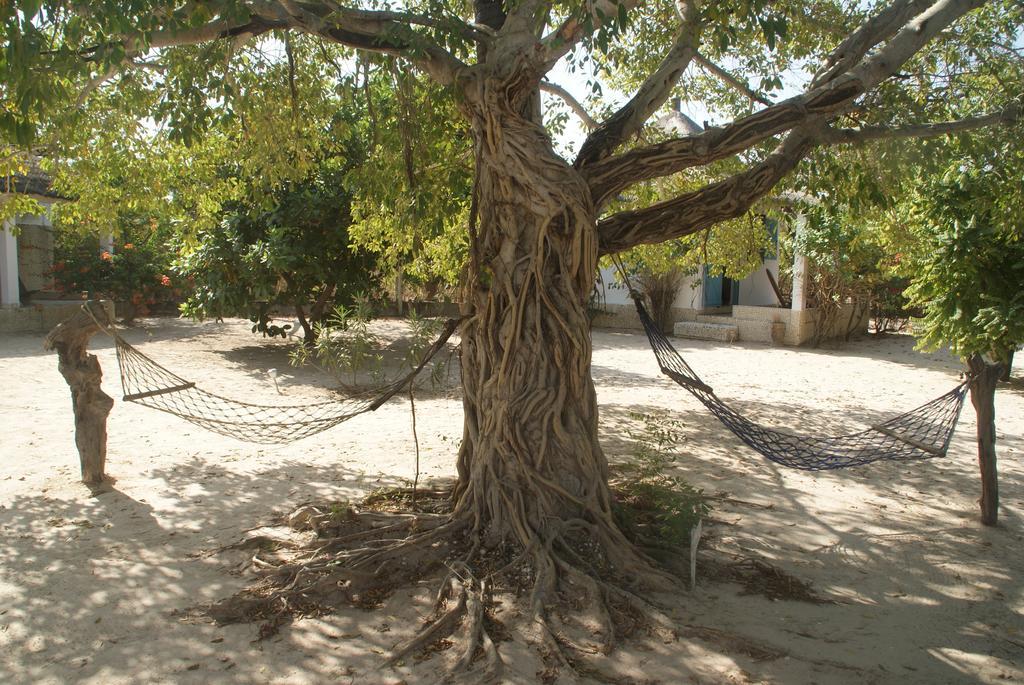 Bazouk Du Saloum Ecolodge Mar Lodj Стая снимка