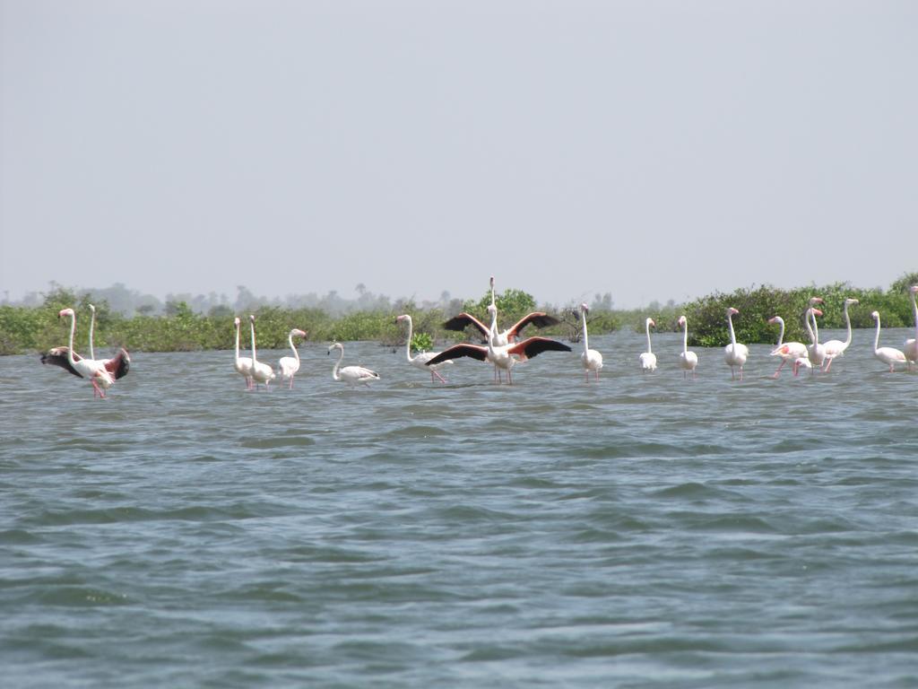 Bazouk Du Saloum Ecolodge Mar Lodj Екстериор снимка